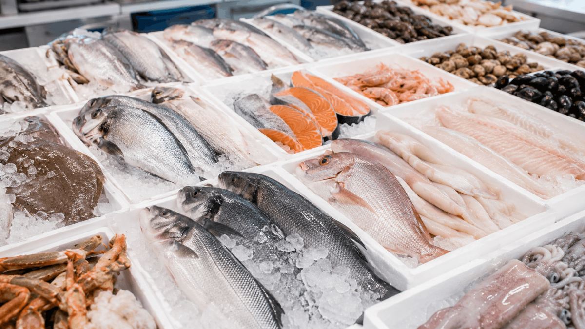 Pescado, salmón, marisco y cefalópodos preparados para distribución mayorista en Sevilla